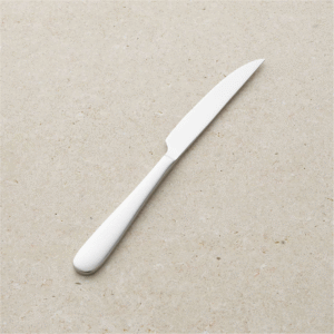 Fusion Satin Steak Knife